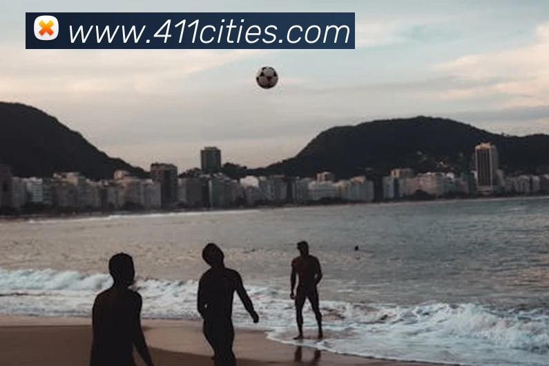 milan米兰官网入口平台生态图