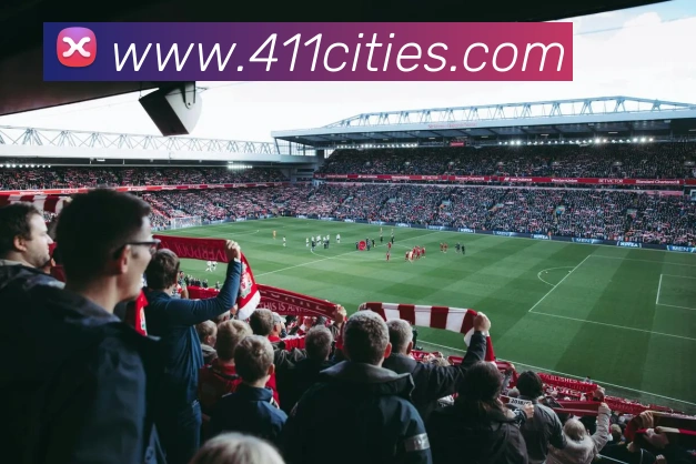 milan米兰官网入口APP 封面图